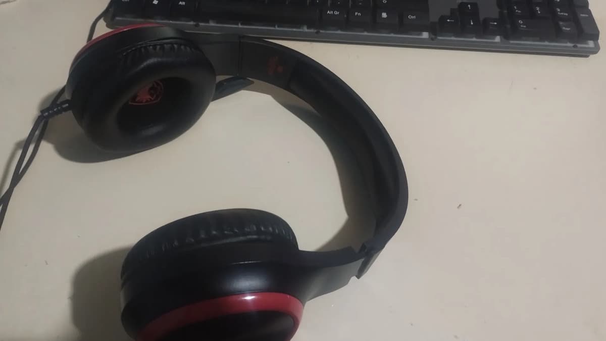 Foto de un comprador de este producto